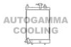 AUTOGAMMA 107207 Radiator, engine cooling